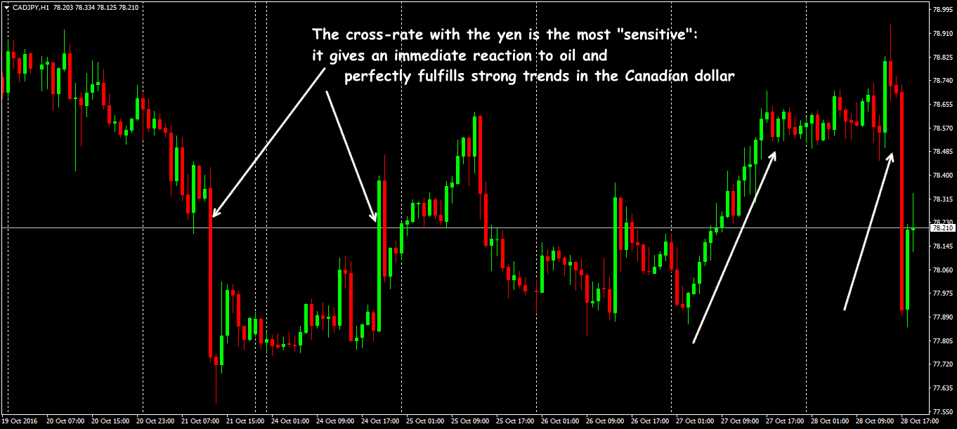 Dynamics of the main cross-currency pair with the Canadian dollar Cross-asset with Japanese Yen